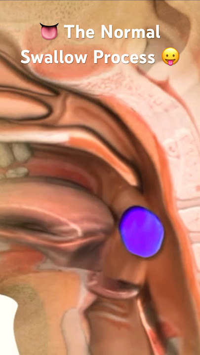 How Swallowing Mechanism Works 😛 #dysphagia #speech #viralvideo #shortvideo #youtubeshorts #viral