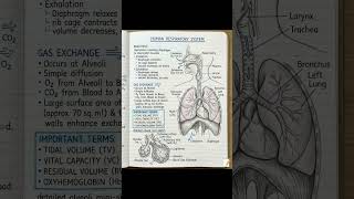📖 Life Processes Class 10 Science | Complete Explanation, Notes | #class10science #biology