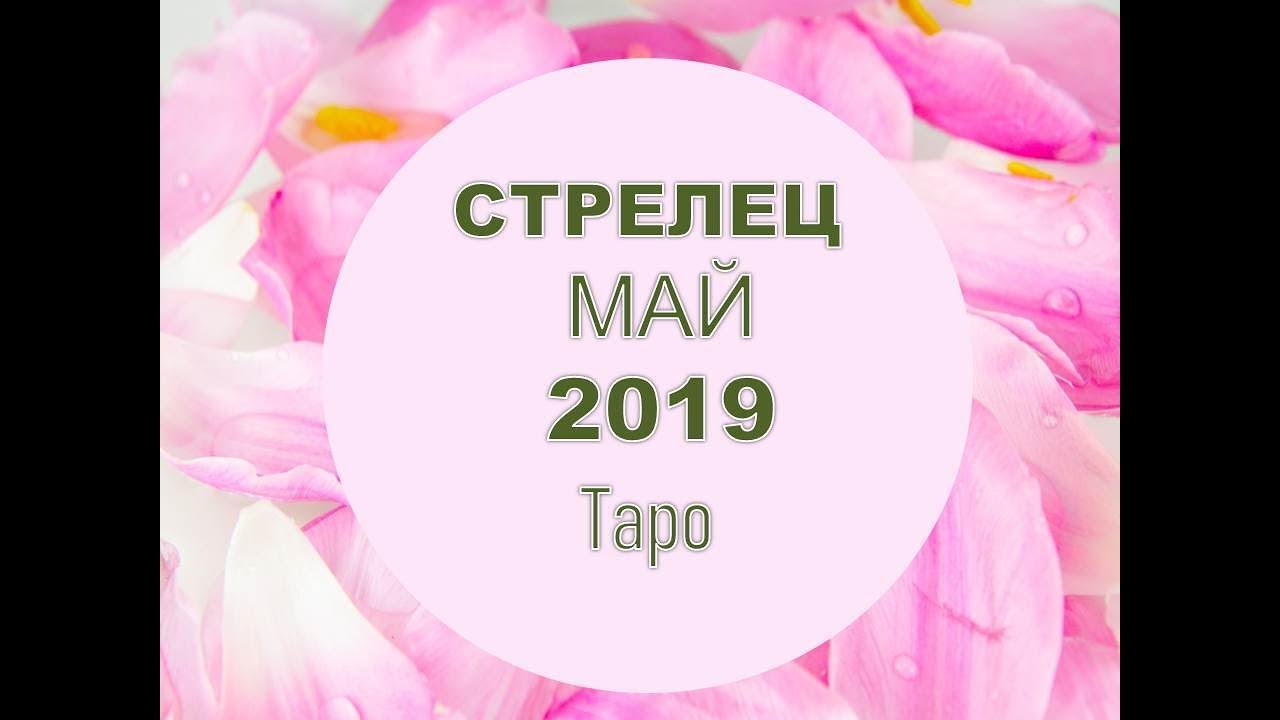 Стрелец прогноз на май. Стрелец прогноз на май