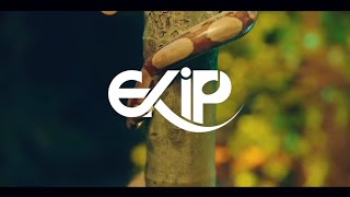 Ekip - Péché Mignon Se New Music Video Saa Ekip Anonse