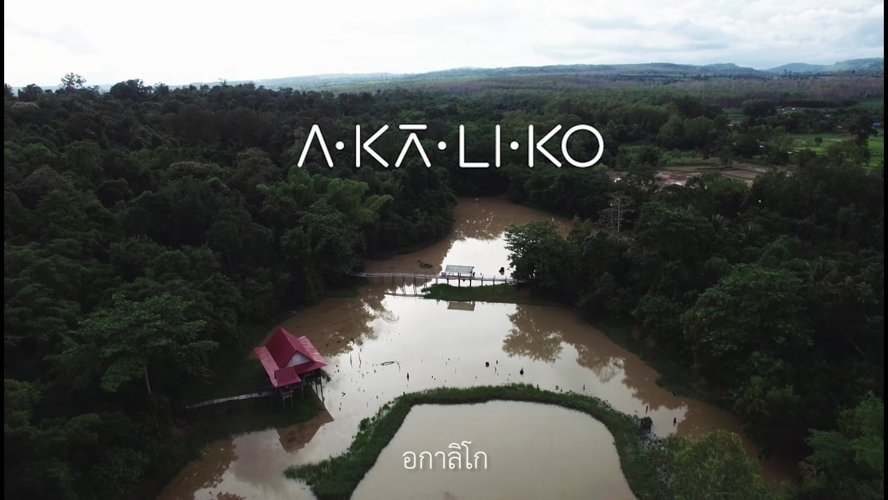 Akaliko – อกาลิโก | อัปเดตใหม่อกาลิโก หมายถึงเนื้อหาที่เกี่ยวข้อง