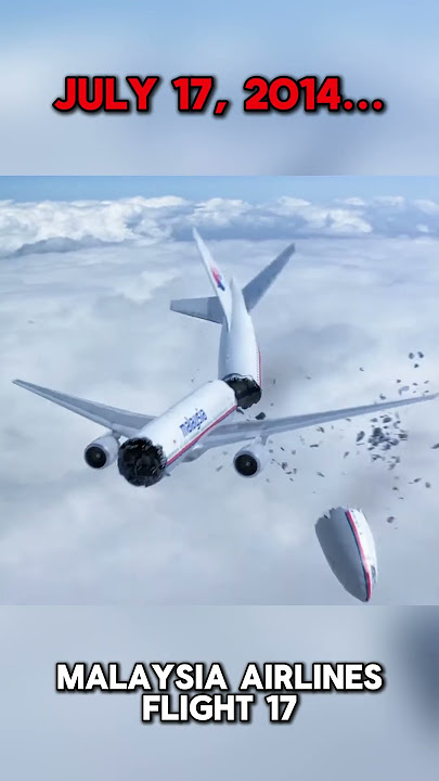 The WORST Year for Malaysia Airlines...