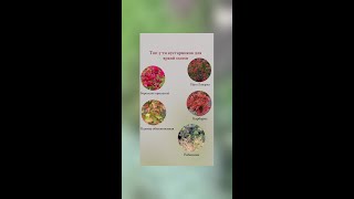 Лучшие кустарники для яркой осени
