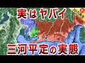 【徳川家康と今川氏真の戦い】実はかなりヤバイ 三河平定戦の実態【道と地形図で合戦解説】