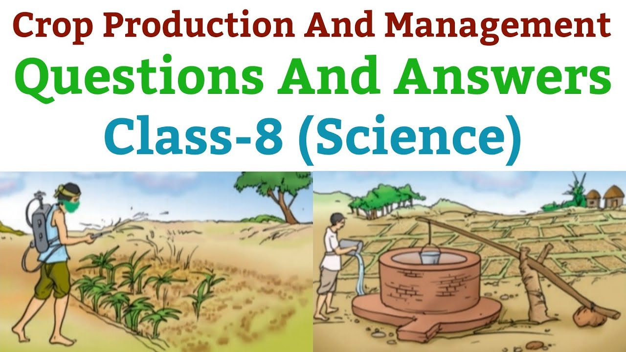 case study questions class 8 science crop production and management