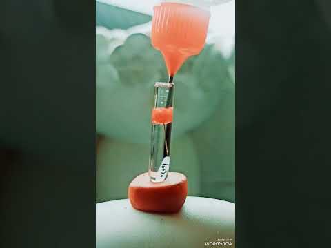 هواك يمه سلا قلبي