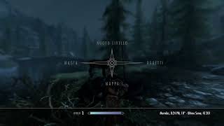 Screen Capture Test- Skyrim