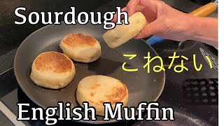 SUB  How to make handmade English muffins made with sourdough starter  No Knead bread, Easy screenshot 4