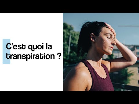 Vidéo: Différence Entre La Transpiration Et La Transpiration