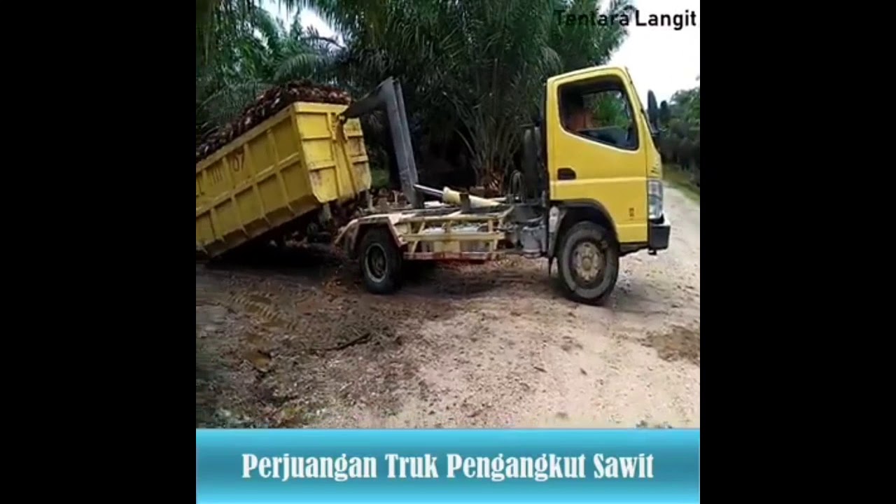 Truk angkut sawit YouTube