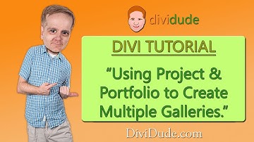 Divi Creating Multiple Galleries Using Project and Portfolio Tutorial