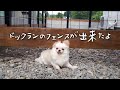 ドックランを作りました➁フェンス完成！？