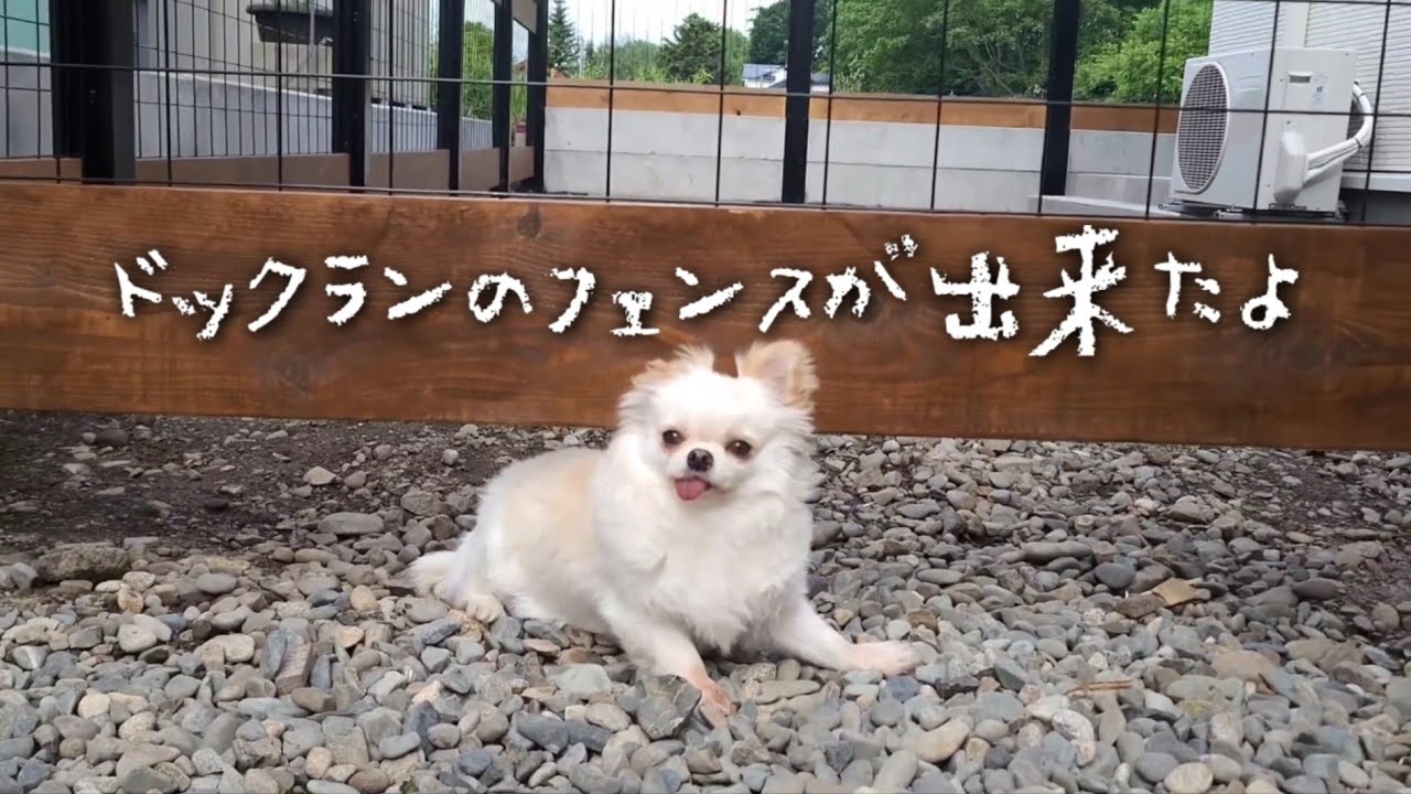 ドックランを作りました➁フェンス完成！？