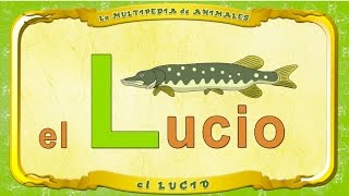 La Multipedia De Animales. Letra L - El Lucio