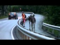 Two moose meets cyclist