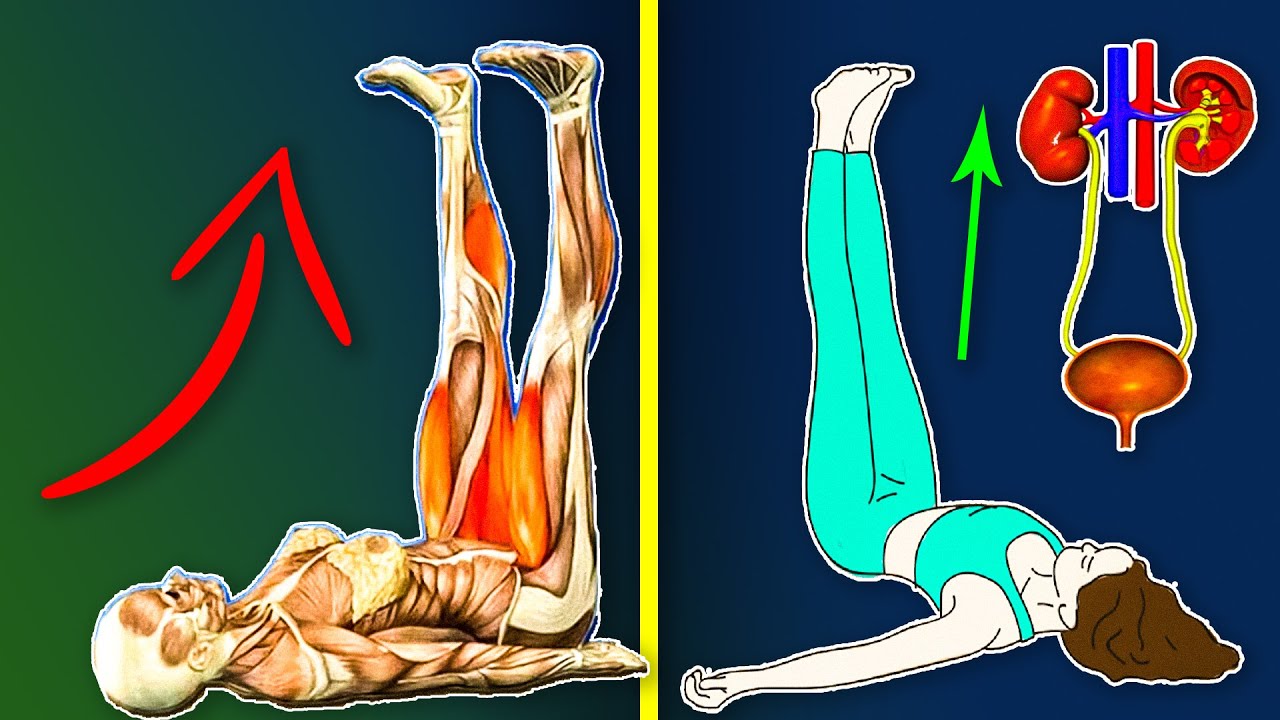 Вот что Будет с вашим Телом, если Поднимать Ноги Вверх каждый день!