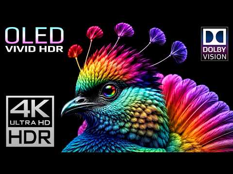 Vivid HDR OLED Display Test 240fps | Nature Video 4K Animals (8K Video ULTRA HD TV)