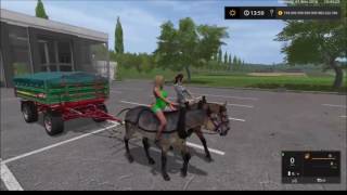 Link: https://www.modhoster.de/mods/hart-arbeitende-pferde

http://www.modhub.us/farming-simulator-2017-mods/hard-working-horses-v1-0/
