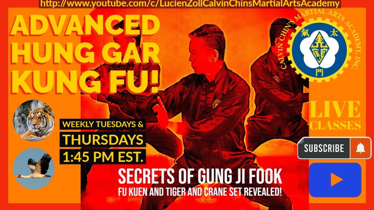 Intermediate/Advanced Hung Gar Kung Fu Pillar Forms 1&2 Class Live ...
