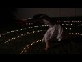 Celtic Carol by Lindsey Stirling - Fan-Made Music Video