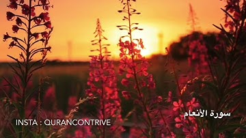 ﴿قد جاءكم بصائر من ربكم فمن أبصر فلنفسه ومن عمي فعليها﴾[ الأنعام :١٠٤]#القارئ : #الشيخ #ياسر_الدوسري