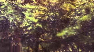 The Forest of Hand and Teeth, Title Sequence