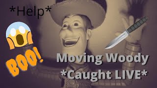MY WOODY DOLL MOVED ON LIVE STREAM *NOT FAKE*