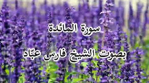 سورة المائدة | فارس عبّاد | Surah Al-Ma'idah | Faris Abbad