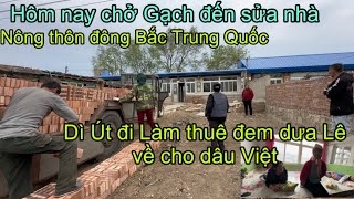 #369🇨🇳Hôm nay chở Gạch đến sửa nhà,Dì Út Đi làm thuê đem dưa Lê về cho dâu Việt Nông Thôn Trung Quốc