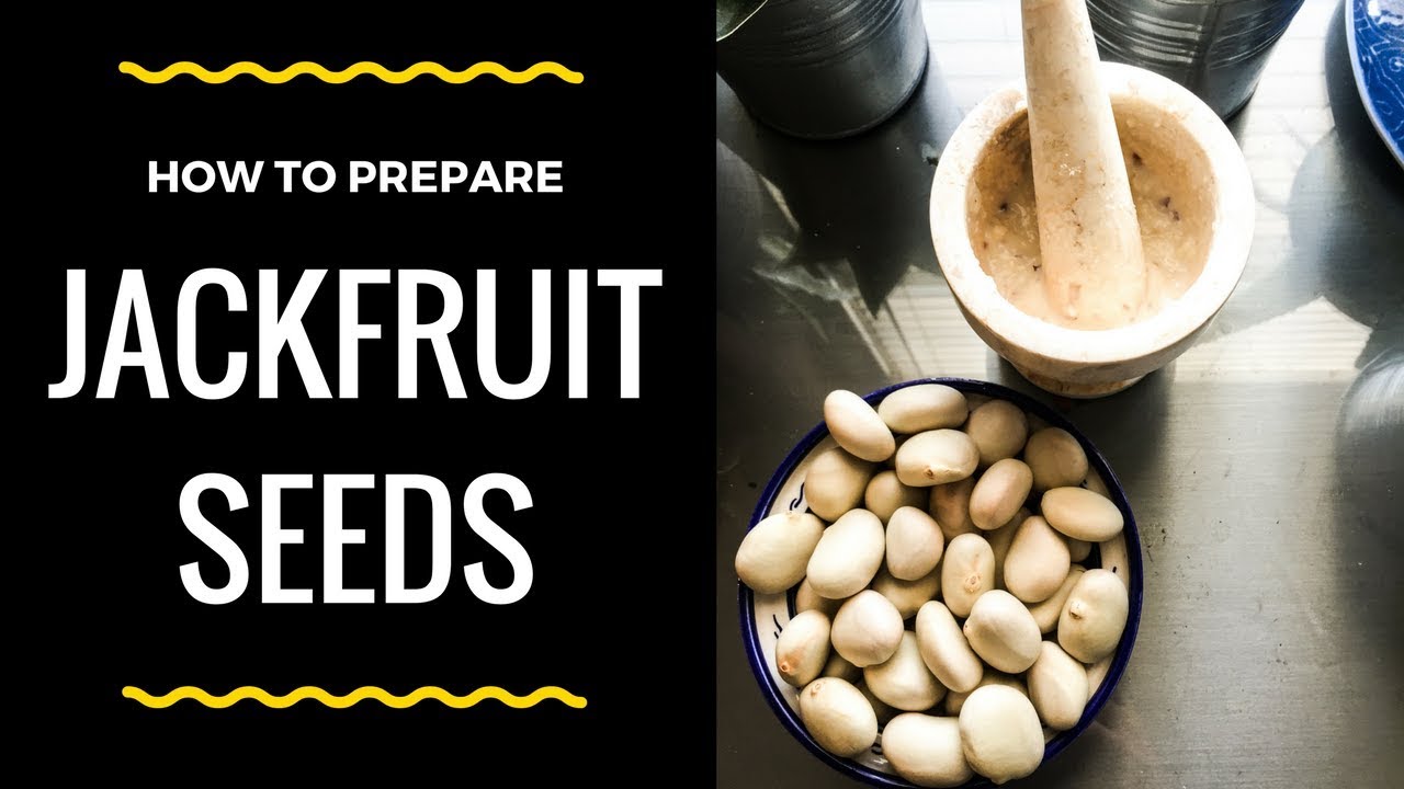 How to Prepare Jackfruit Seeds - YouTube
