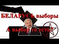 БЕЛАРУСЬ выборы. А выбор то есть?