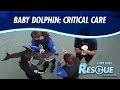 Baby Dolphin: Critical Care - Rescue-Clearwater Season 2: Ep. 2