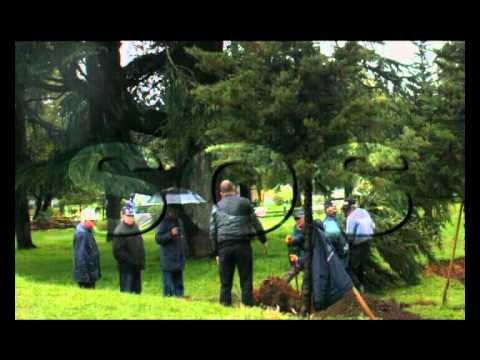 გადავარჩინოთ ბათუმის ბულვარი