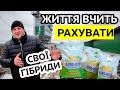 Гібриди кукурудзи від Агро-Ритм - 80ц кукурудзи та 40ц соняшнику на Одещині!