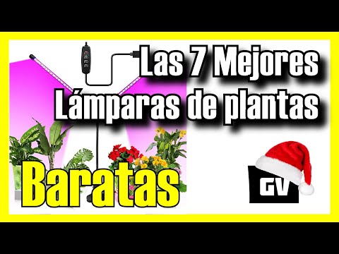 Video: Lámparas Para Plantas (40 Fotos): ¿cómo Elegir Un Phytolamp Para Flores De Interior? Fitolamparas Para El Cultivo De Orquídeas En Casa. Reseñas De Propietarios