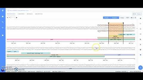 gene editing e. coli | simulation walk-through