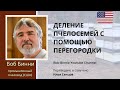 ДЕЛЕНИЕ ПЧЕЛОСЕМЕЙ с помощью перегородки с двойной решеткой (лекция Боба Бинни)