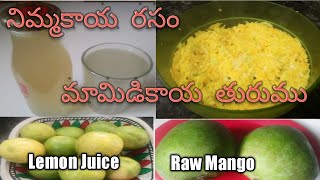 Lemon Juice & Raw Mango Pulp Ready/ నిమ్మకాయ రసం మరియు మమిడికాయ తురుము బద్రపరచుకొండి ఇల