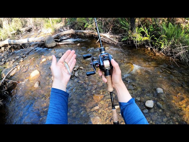 Tiny Stream Small Swimbaits 