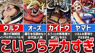 【ワンピース】大きさランキング