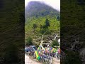 Arunachal Pradesh ✅#travel #viralvideo #shortvideo #logtrailer
