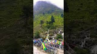 Arunachal Pradesh ✅#travel #viralvideo #shortvideo #logtrailer