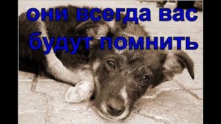 Стихотворение &quot; Они всегда вас будут помнить&quot;