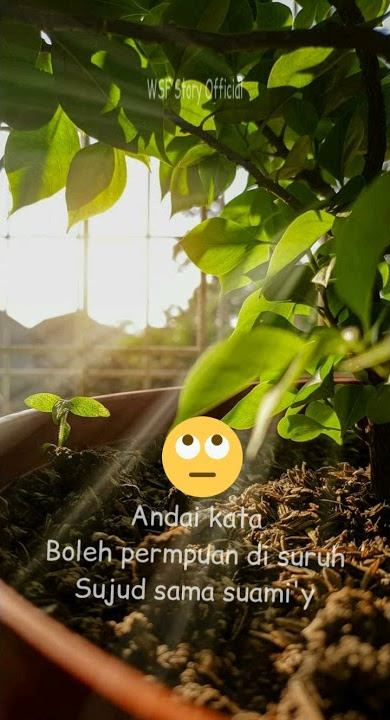 Story Wa Ceramah KH Zainuddin MZ Kocak