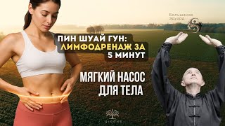 Ping Shuai Gong: Lymphatic Drainage in 5 Minutes | Gentle Body Pump for Home