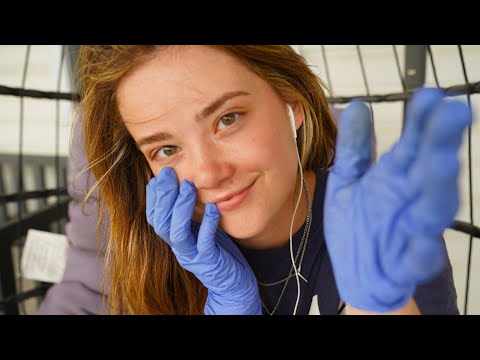 ASMR PERSONAL ATTENTION During A Storm! ⛈ Wind Sounds, Fuzzy Mic, Brushing, Gloves, Hand Movements