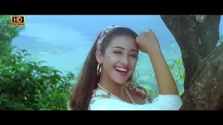 Tu Deewana Pagal Mera Ho Gaya (Hi Fi Jhankar) Kumar Sanu, Alka Yagnik | Manisa Koirala| Anokha Andaz