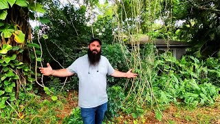 AFTER his PARENTS PASSED AWAY he WATCHED the HOUSE HE BUILT with his FATHER be RECLAIMED by Nature!