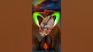 Download lagu DJ BREAKBEAT Cinta Sempurna Full Bass