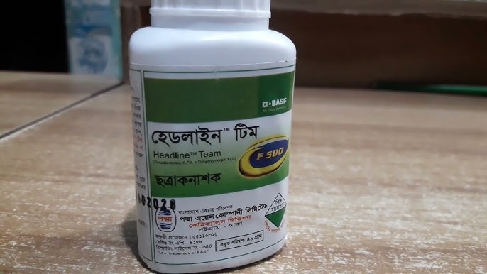 Qizning fotosurati bilan boglangan porno